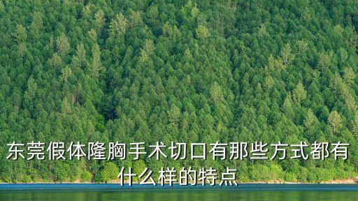 東莞內(nèi)衣切杯，東莞假體隆胸手術(shù)切口有那些方式都有什么樣的特點