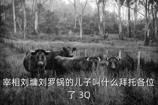 劉墉兒子，宰相劉墉的兒子叫什么生平
