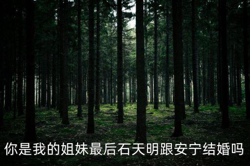 你是我的姐妹結(jié)局，你是我的姐妹最后石天明跟安寧結(jié)婚嗎