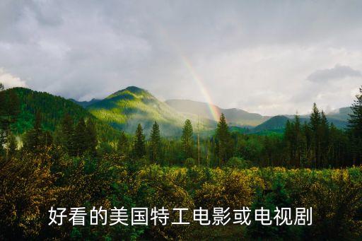 好看的美國特工電影或電視劇