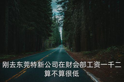 剛去東莞特新公司在財會部工資一千二算不算很低