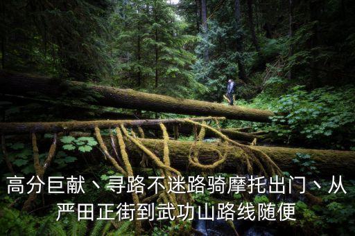 東莞天下行豐田怎么樣，高分巨獻丶尋路不迷路騎摩托出門丶從嚴田正街到武功山路線隨便