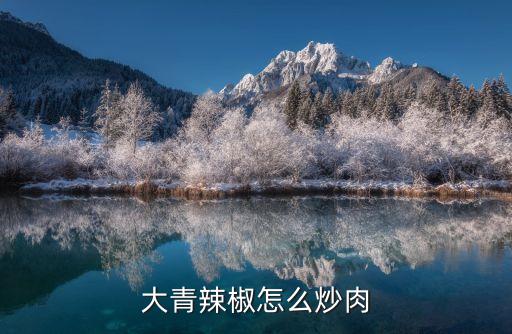 青椒炒五花肉，尖椒炒肉的做法