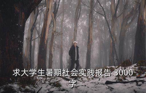 求大學生暑期社會實踐報告 3000字