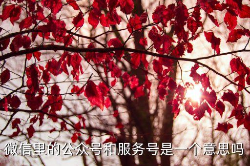 微信里的公眾號(hào)和服務(wù)號(hào)是一個(gè)意思嗎