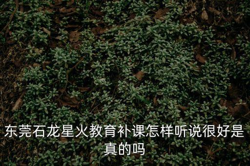 東莞石龍星火教育補課怎樣聽說很好是真的嗎