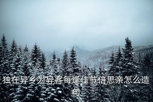 獨在異鄉為異客每逢佳節倍思親怎么造句