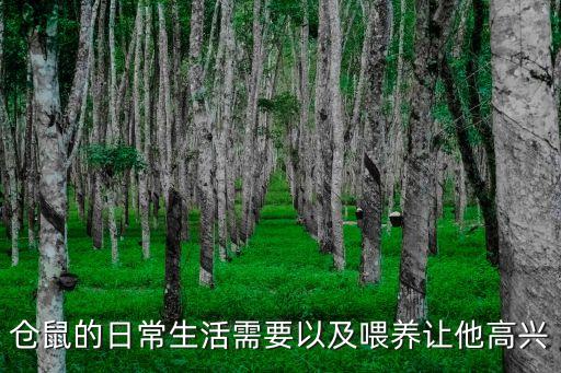 倉鼠的日常生活需要以及喂養讓他高興