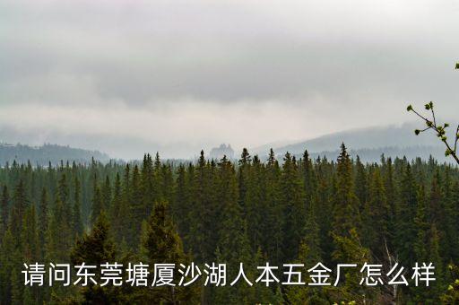 請問東莞塘廈沙湖人本五金廠怎么樣