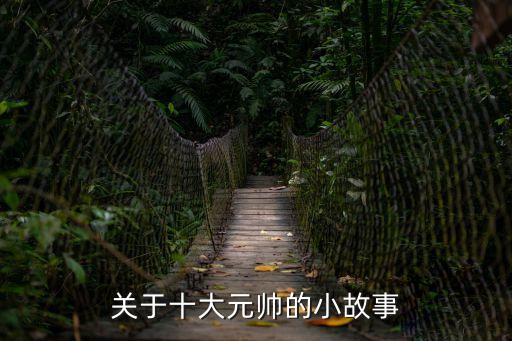 十大元帥的故事，十大元帥簡介