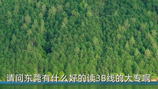 請問東莞有什么好的讀3B線的大專啊