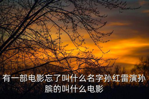 有一部電影忘了叫什么名字孫紅雷演孫臏的叫什么電影