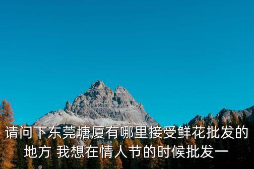 請問下東莞塘廈有哪里接受鮮花批發的地方 我想在情人節的時候批發一