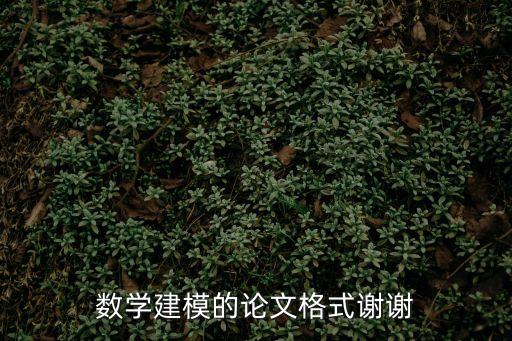 數(shù)學(xué)建模的論文格式謝謝