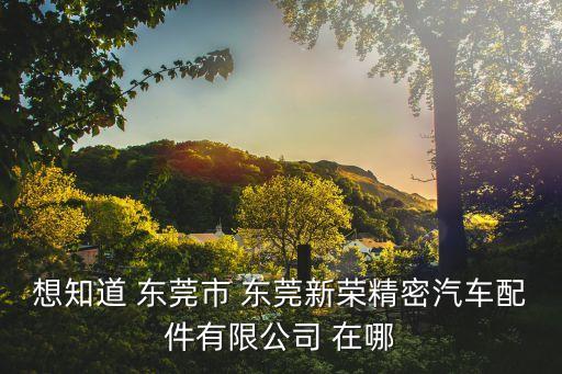 想知道 東莞市 東莞新榮精密汽車配件有限公司 在哪