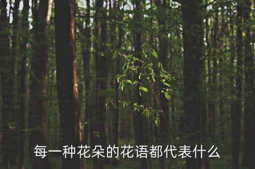 所有花語大全，各種花的花語
