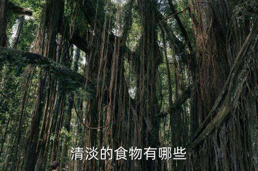 清淡飲食，清淡膳食指怎么解釋