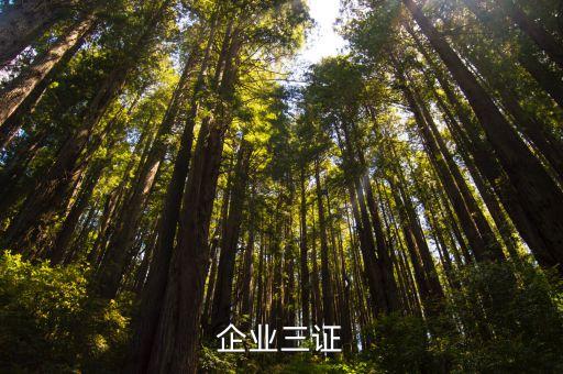 企業三證，公司的三證是什么