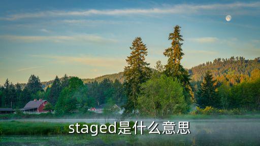 staged，請英語高手翻譯單詞