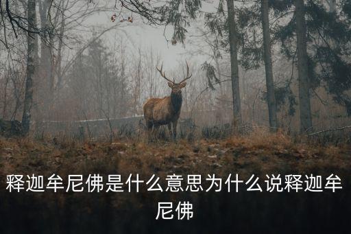 釋迦牟尼佛是什么意思為什么說釋迦牟尼佛