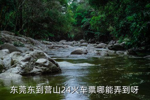 東莞到是的東營的火車票，東莞東到營山24火車票哪能弄到呀