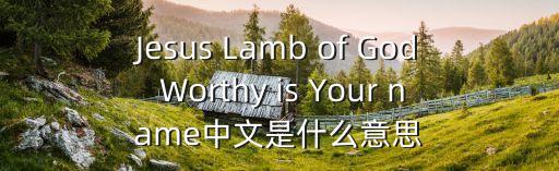 Jesus Lamb of God Worthy is Your name中文是什么意思
