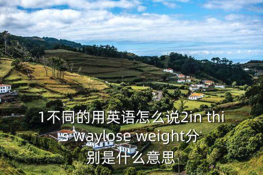 不同的英文怎么說，1不同的用英語怎么說2in this waylose weight分別是什么意思