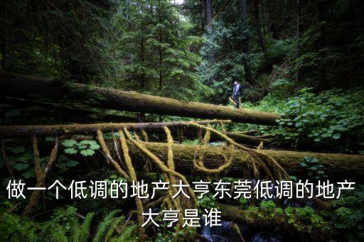 東莞臺商吳松柏投資，臺商在東莞大量投資IT產業的原因
