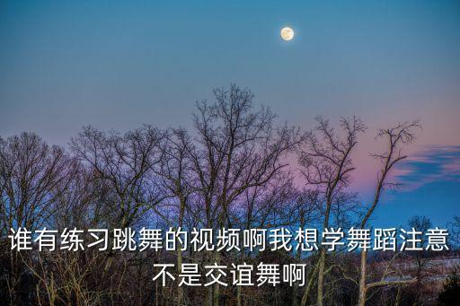 誰有練習(xí)跳舞的視頻啊我想學(xué)舞蹈注意不是交誼舞啊