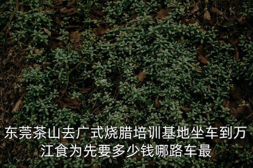 東莞茶山去廣式燒臘培訓(xùn)基地坐車到萬(wàn)江食為先要多少錢哪路車最