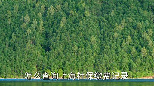 怎么查詢上海社保繳費記錄