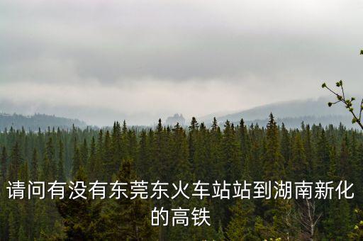 請問有沒有東莞東火車站站到湖南新化的高鐵