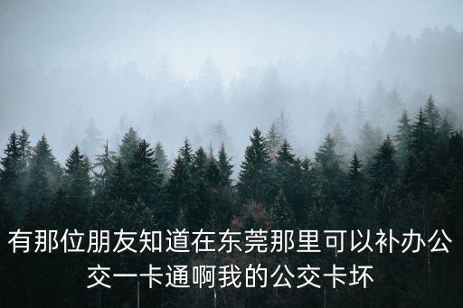 有那位朋友知道在東莞那里可以補(bǔ)辦公交一卡通啊我的公交卡壞