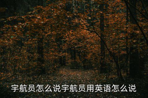 宇航員的英文，宇航員的英語怎么說