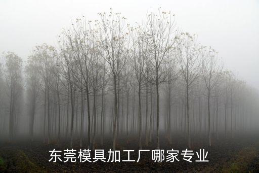 東莞模具加工廠哪家專(zhuān)業(yè)