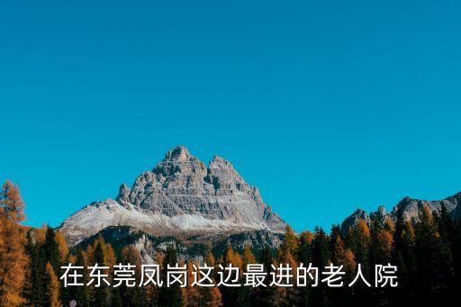 在東莞鳳崗這邊最進的老人院