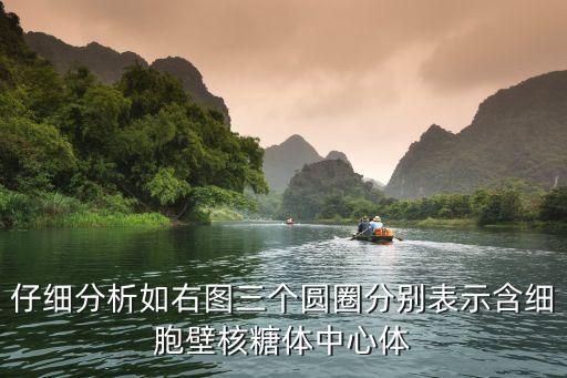 泰寧三中，仔細分析如右圖三個圓圈分別表示含細胞壁核糖體中心體