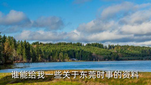 誰能給我一些關于東莞時事的資料