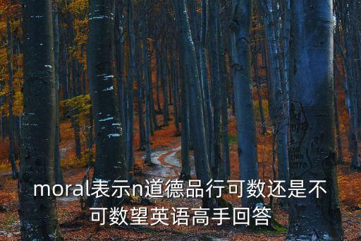 道德的英語，單詞moral的漢語是什么意思