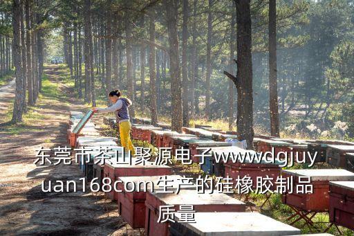 東莞市茶山聚源電子wwwdgjuyuan168com生產(chǎn)的硅橡膠制品質(zhì)量