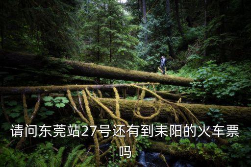 請問東莞站27號還有到耒陽的火車票嗎