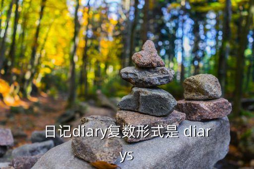 diary的復(fù)數(shù)，diary的單詞復(fù)數(shù)