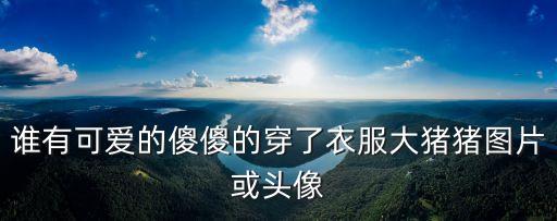 呆萌傻傻的可愛圖片，哪里有比較可愛又白癡的圖片啊我做頭像