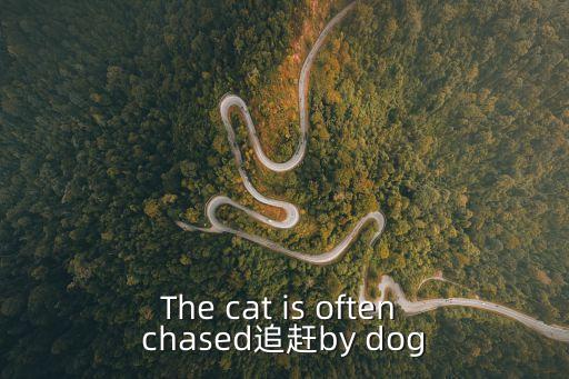 The cat is often chased追趕by dog