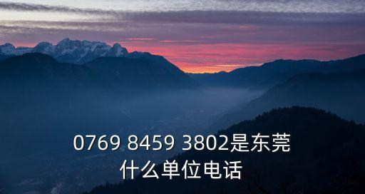 0769 8459 3802是東莞什么單位電話