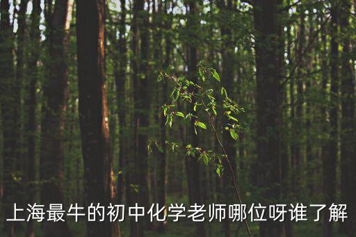 上海最牛的初中化學老師哪位呀誰了解