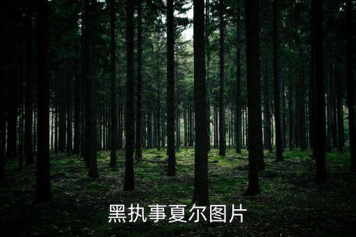 夏爾圖片，求黑執事夏爾的圖片