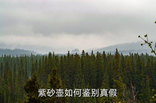 紫砂壺如何鑒別真假