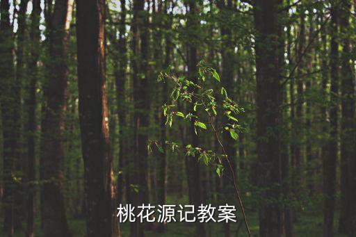 桃花源記教案，給我九年級上冊語文第17課桃花源記