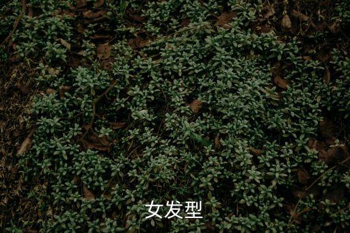 女發(fā)型